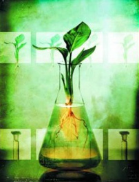 VERBITSKIY SERGEY.OSTEOPAT. NATUROPAT.